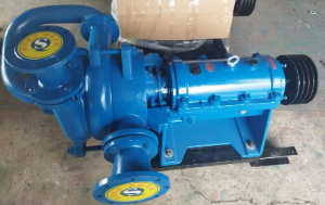 壓濾機(jī)專(zhuān)用入料泵